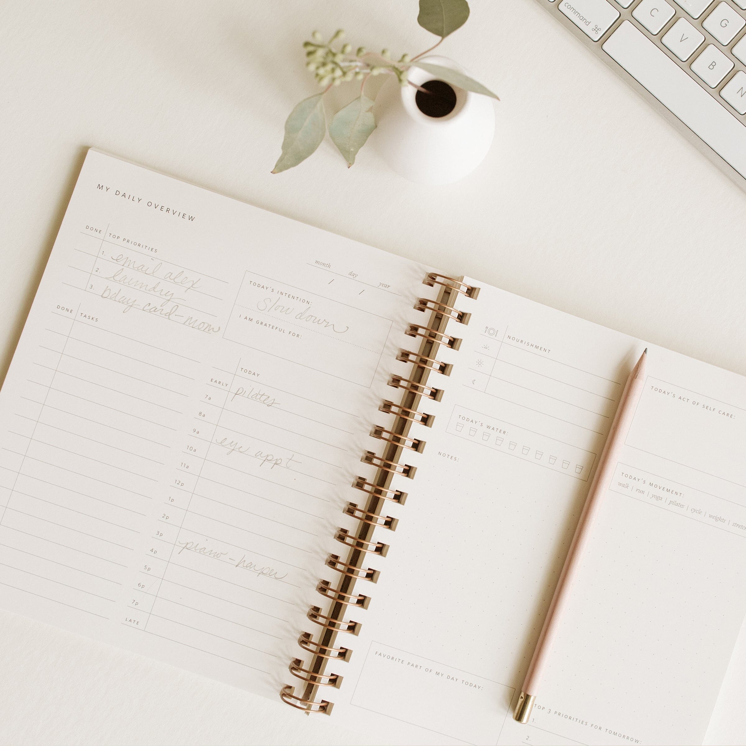 Daily Overview Planner - 5 Colors - Ramona & Ruth
