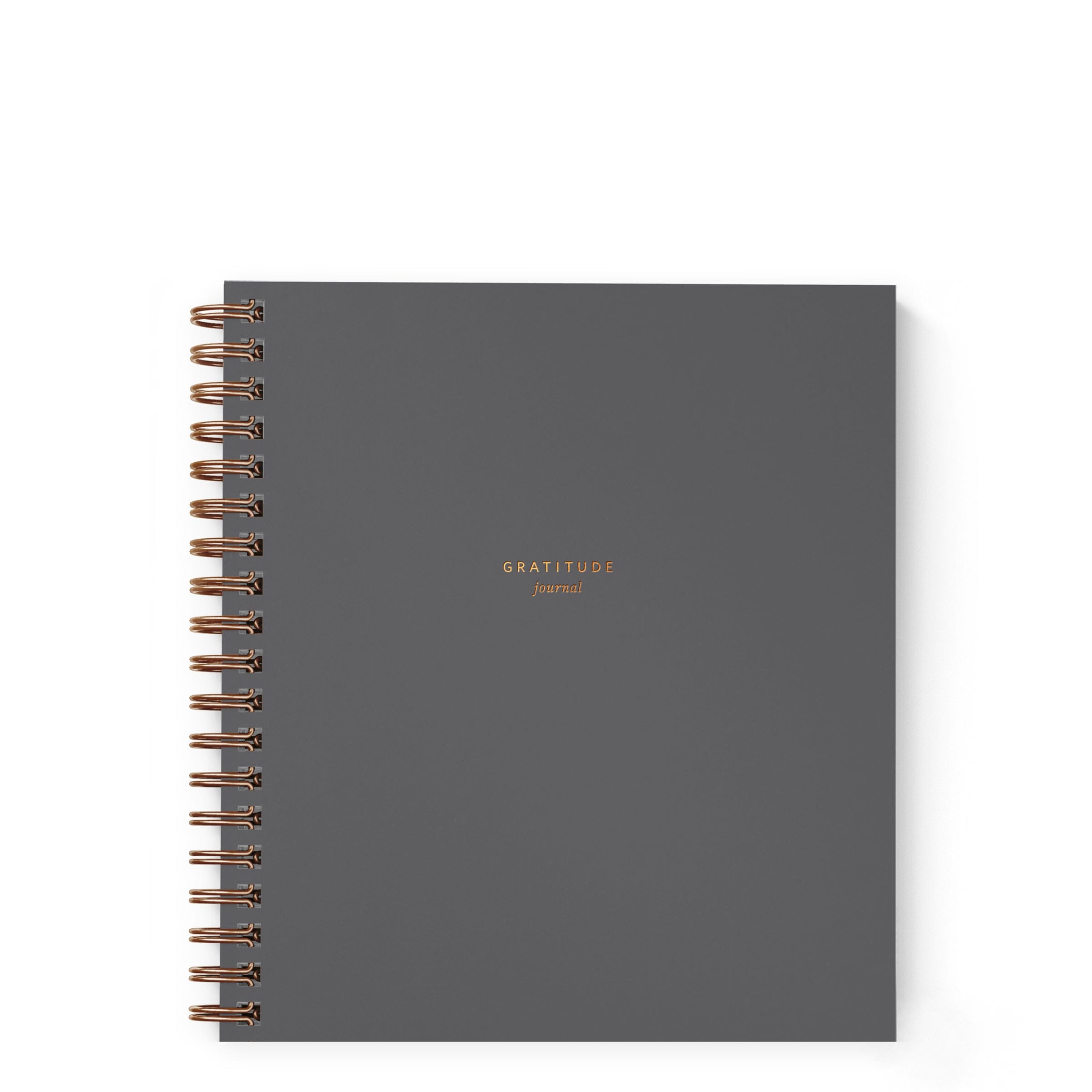 Mini Gratitude Journal - Ramona & Ruth Charcoal
