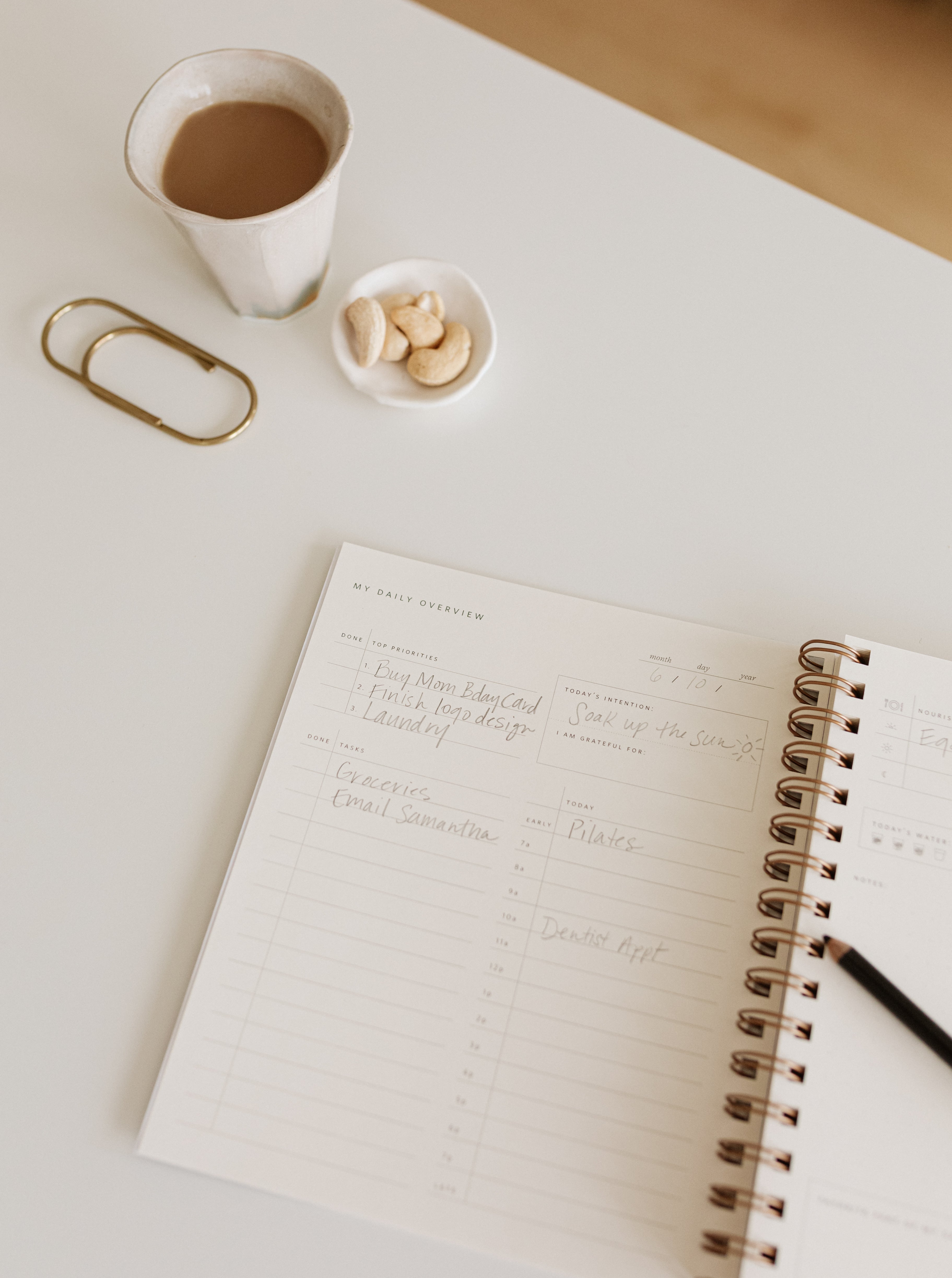 The Daily Overview Planner