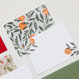 Orange Vine Flat Notes | Boxed Set of 6 - Ramona & Ruth 