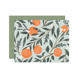 Orange Vine Flat Notes | Boxed Set of 6 - Ramona & Ruth 