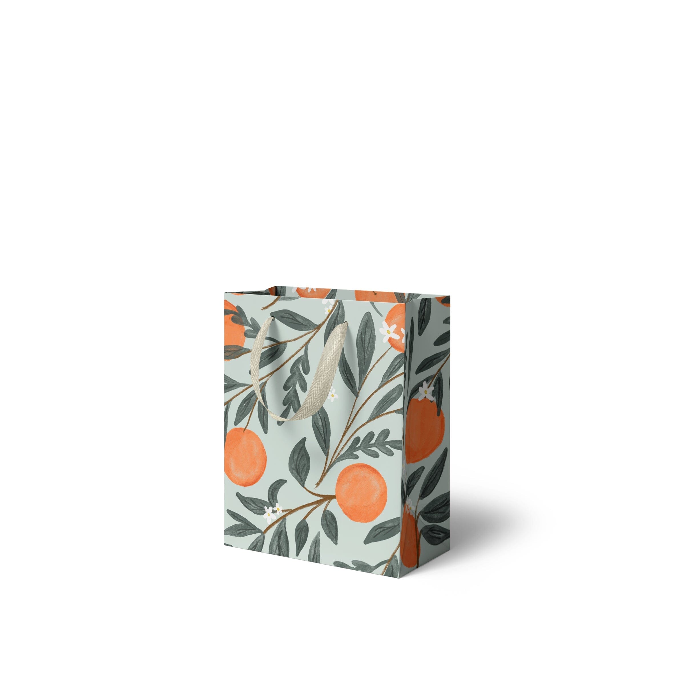 Orange Vines Gift Bag - Ramona & Ruth Small 