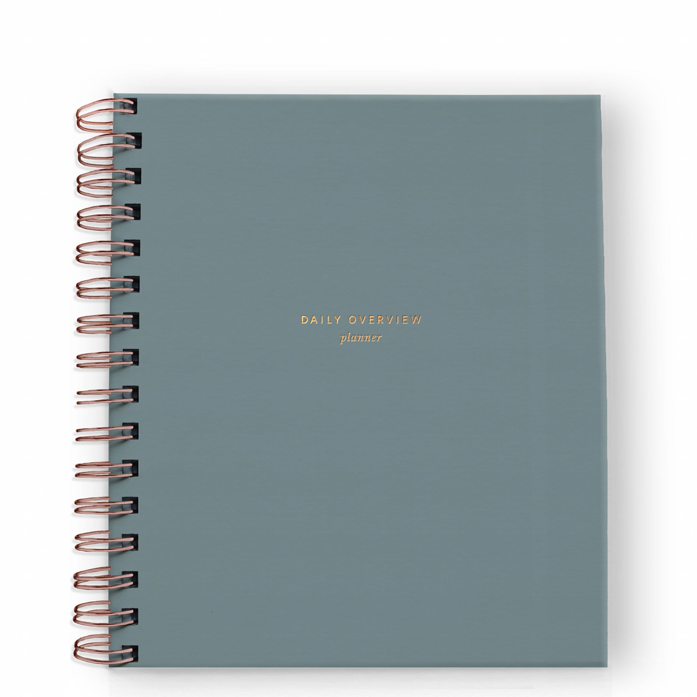 Daily Overview Planner - 5 Colors - Ramona & Ruth Steel Blue 