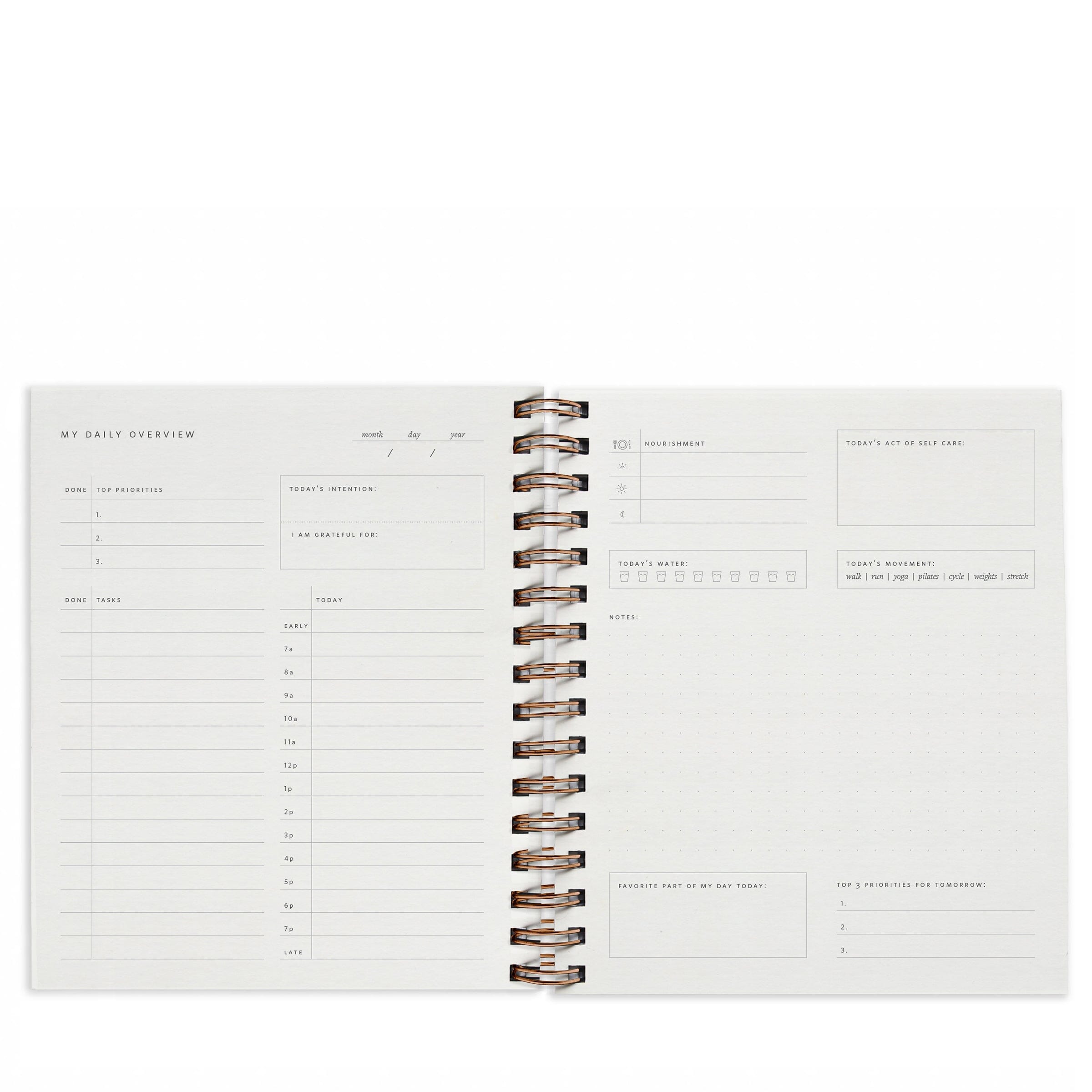 Daily Overview Planner in Dotty - Ramona & Ruth 