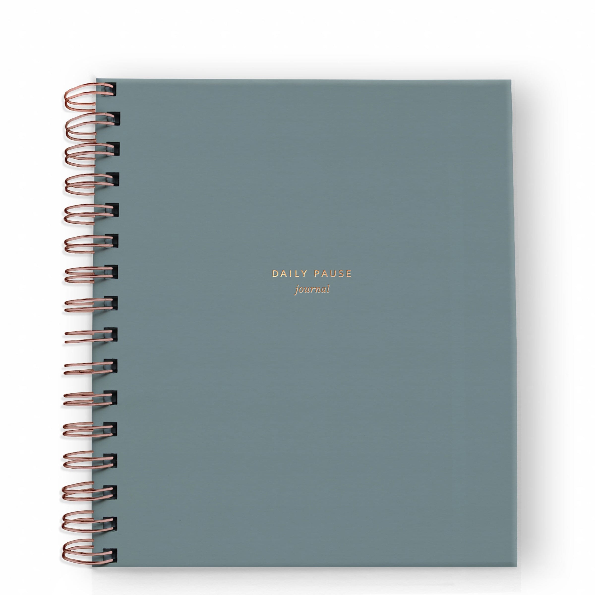 Daily Pause Journal - 5 Colors - Ramona & Ruth Steel Blue 