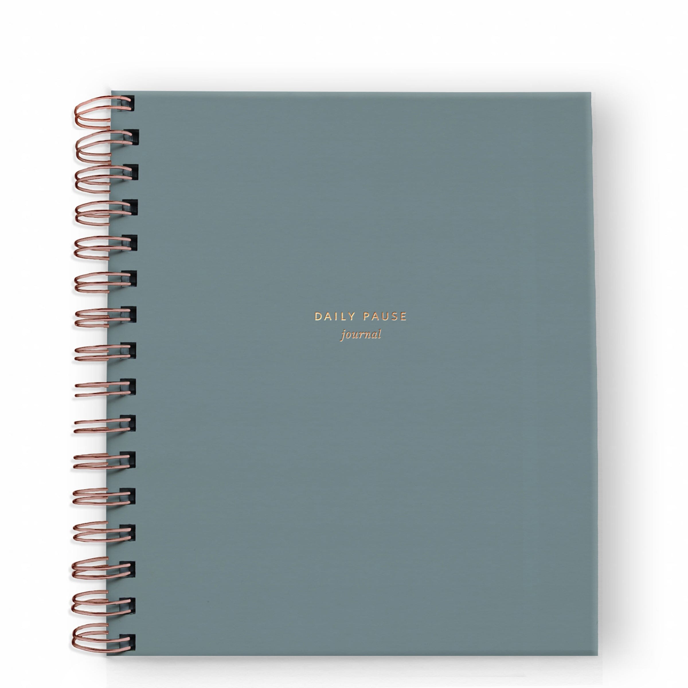 Daily Pause Journal - 5 Colors - Ramona & Ruth Steel Blue 
