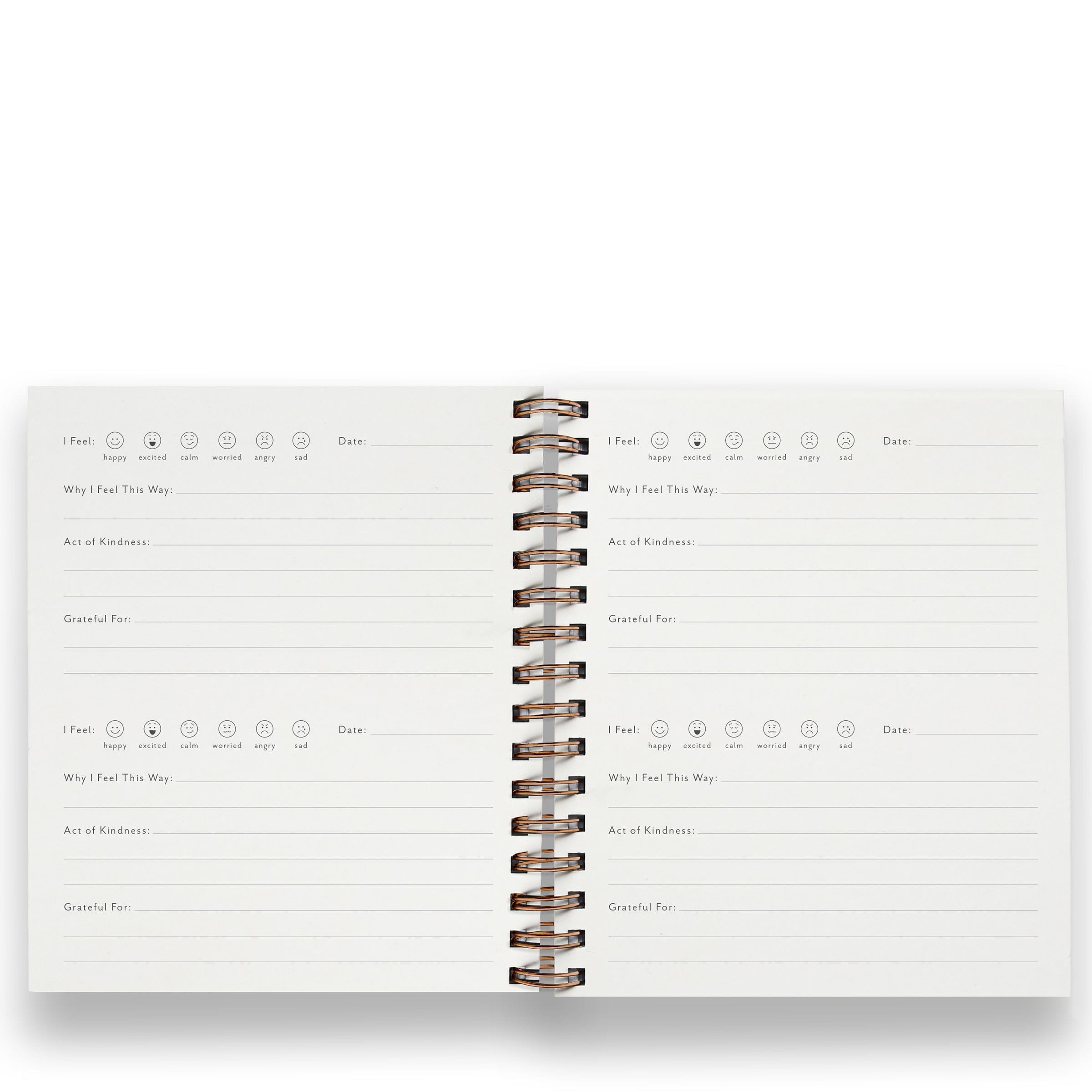 Journal for Kids - 2 Colors - Ramona & Ruth 