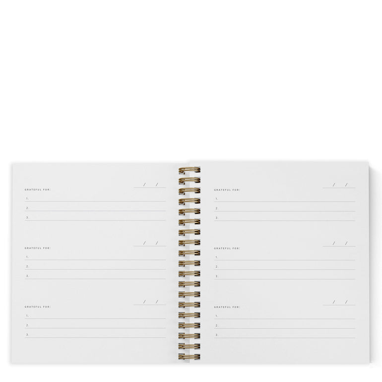 Sample Sale - Daily Overview Planner in Charcoal | Ramona & Ruth