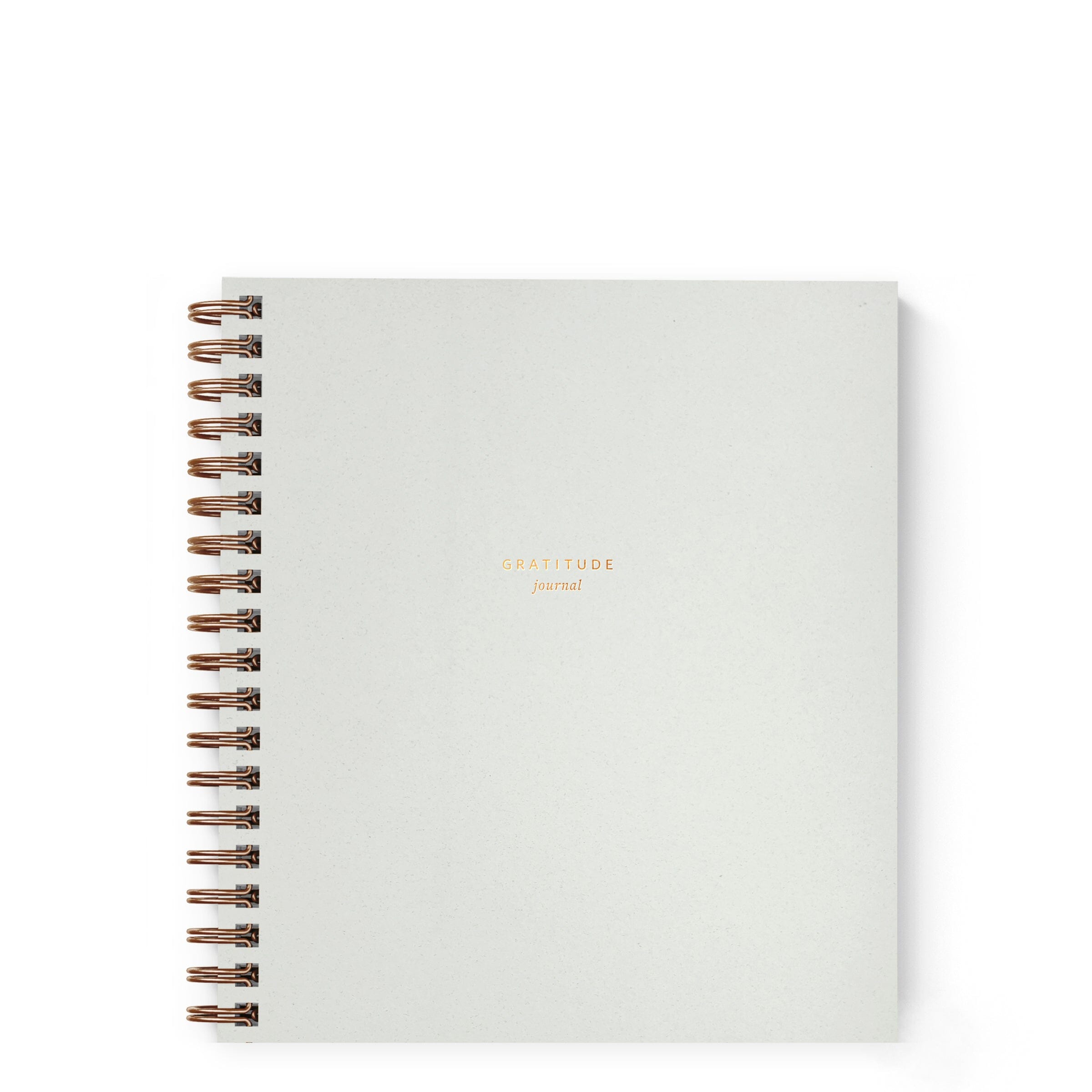 Sample Sale - Mini Gratitude Journal - Ramona & Ruth Chalk White 