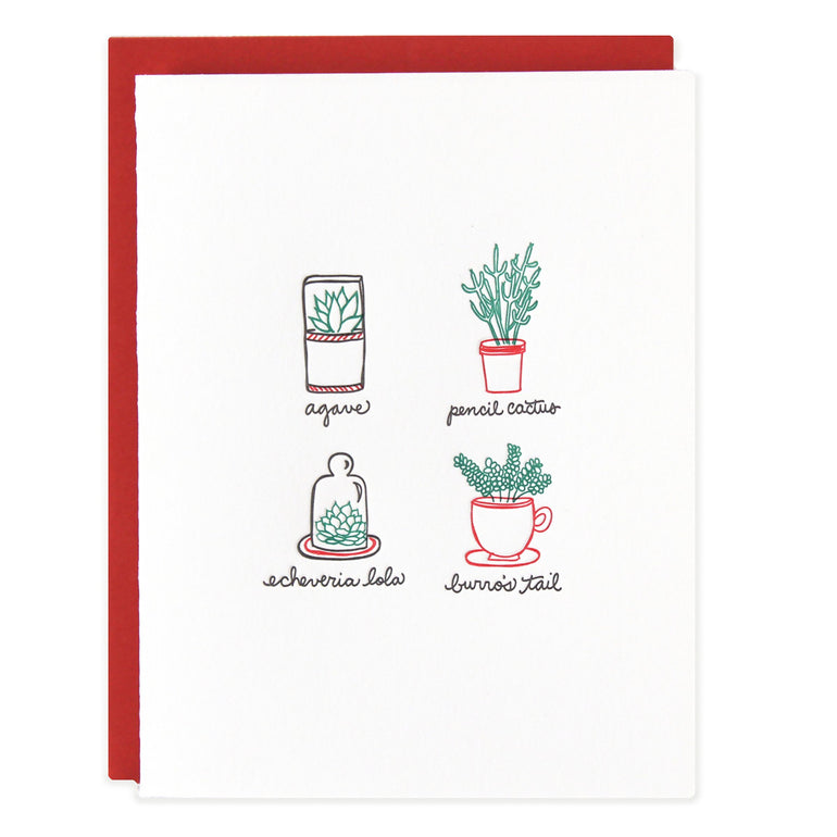 Succulent Plants Card - Ramona & Ruth