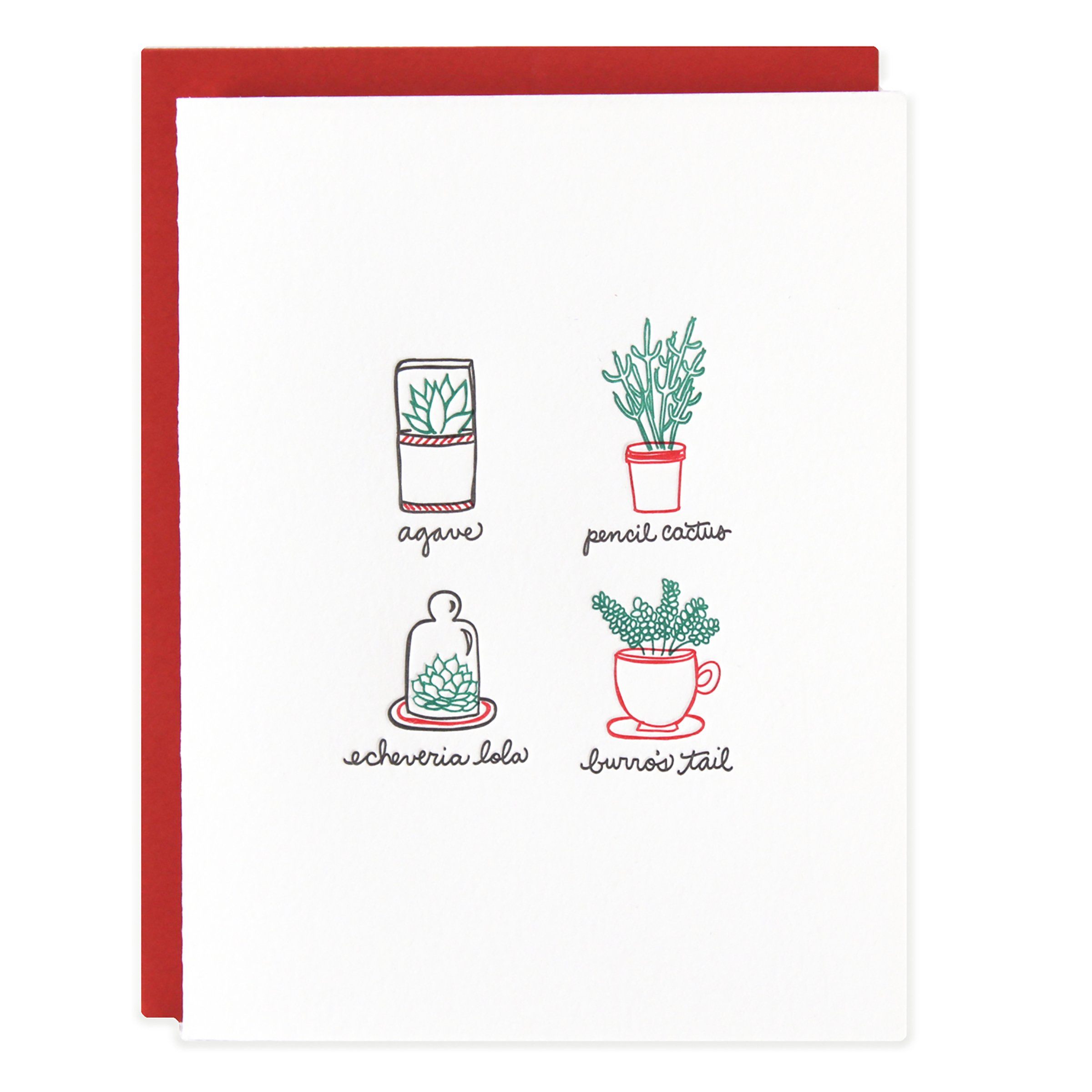 Succulent Plants Card - Ramona & Ruth